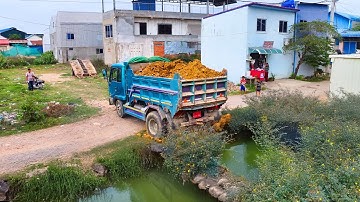 early landfill start project .! Dump Truck 5Ton UNLOADING and skill Bulldozer Push Soil ,Stone