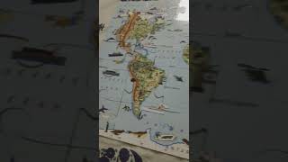 World map puzzle #30 piece jigsaw #fun game #with nationality places