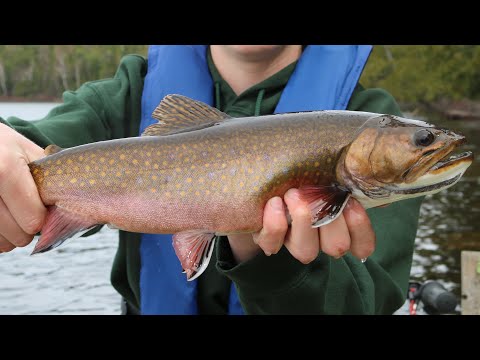 CATCHING EARLY SPRING BROOK TROUT | Northern Ontario 2021