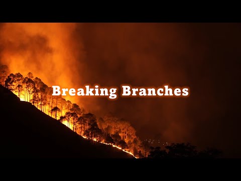 Leo Alexander – Breaking Branches (Official Lyric Video)