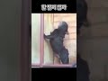할 말이 많아