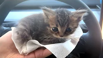 youtube recommendation