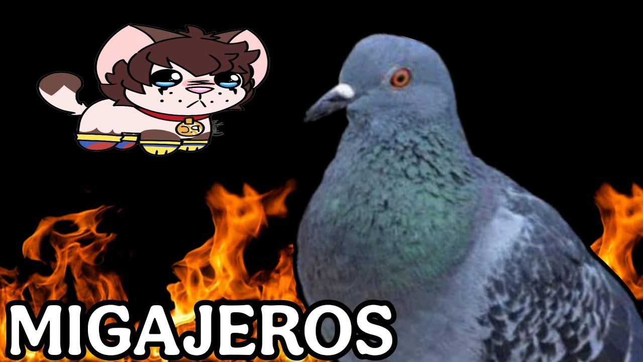 CRITICA a los MIGAJEROS 😾