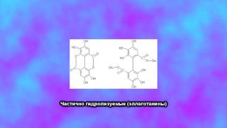 Видео Дубильные вещества (автор: Thekeful)