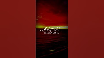 حالات واتس قرآن كريم سوره غافر الشيخ خالد الجليل|quran kareem