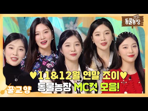 [조이 MC컷] 2021년도 덕분에 행복했조이 💖 11월&amp;<strong>amp</strong>;<strong>12월</strong> 연말 조이 MC컷 모음집 I TV동물농장 (Animal Farm) | SBS Story