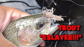 ESLAYING the PA Trout Opener Weekend w/ my SECRET WEAPON!