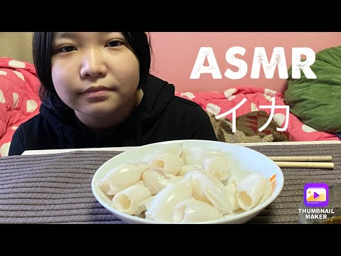 [ASMR] イカを食べる音?音フェチ❣️咀嚼音?