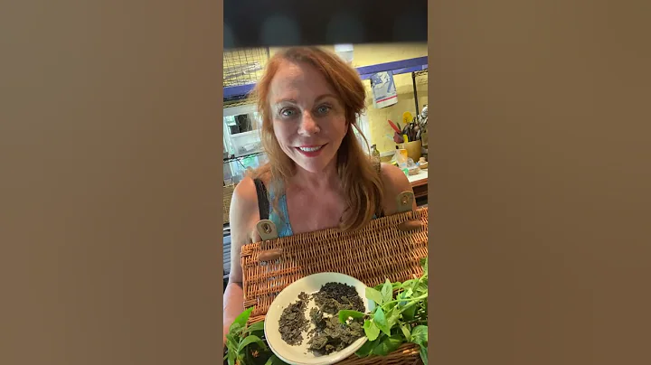 Making Fresh Pesto
