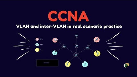 Free CCNA Course 2025-2026 VLAN and Inter-VLAN or Router on stick in a real scenario