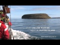 Whales, Puffins &amp; Sails with North Sailing