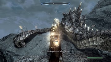 Killing a dragon with VioLENS mod enabled