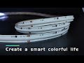 RGBIC Digital COB LED Strip Light, Create a smart colorful life