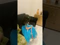 Fatima Kya Lga Rehi Ho Mama FatimaMom07 Viralvideo Short