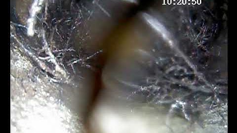 Pipe inspection with Testrix TX-60 CCTV Sewer & Drain Camera System