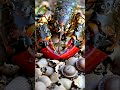 10 Astonishing Facts About Lobster (Homarus americanus) - Uncovered!" #LobsterFacts #MarineLife
