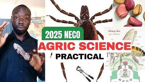 2025 NECO AGRIC Practical Specimen Tutorial questions and Answers