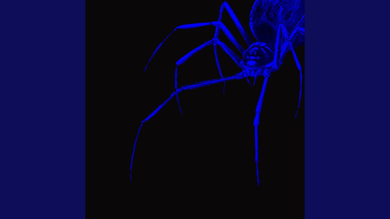 Watch Web on YouTube Watch Web on YouTube