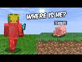 Hiding as MOBS in Minecraft Hide and Seek