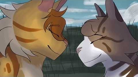 Part 7 (Mothpool MAP)