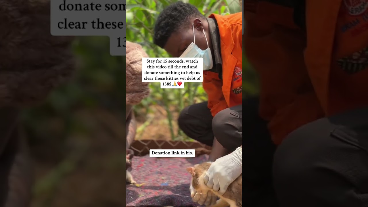 please even 20dollars it's can help to feed this poor puppy