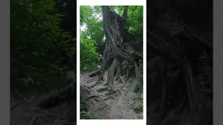 Sandomierz, wąwóz kr. Jadwigi