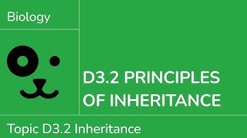 D3.2 Principles of Inheritance [IB Biology SL/HL]