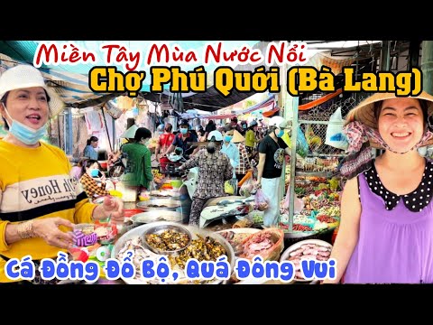 Video MÙA NƯỚC NỔI Đi CHỢ PHÚ QUỚI