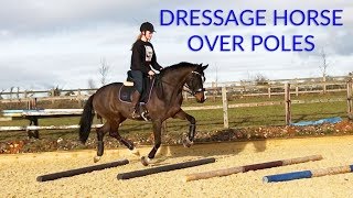 Ella The Bouncing Dressage Horse