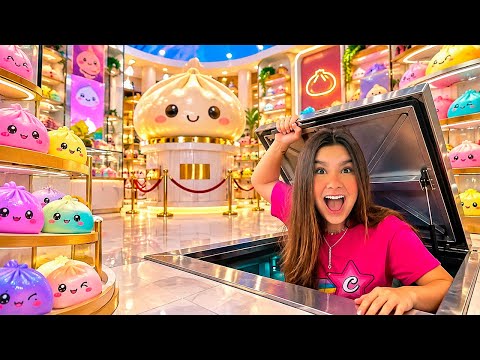 I BUILT A SECRET MUSEUM OF RARE DUMPLINGS AND SQUISHIES! *showed everything
