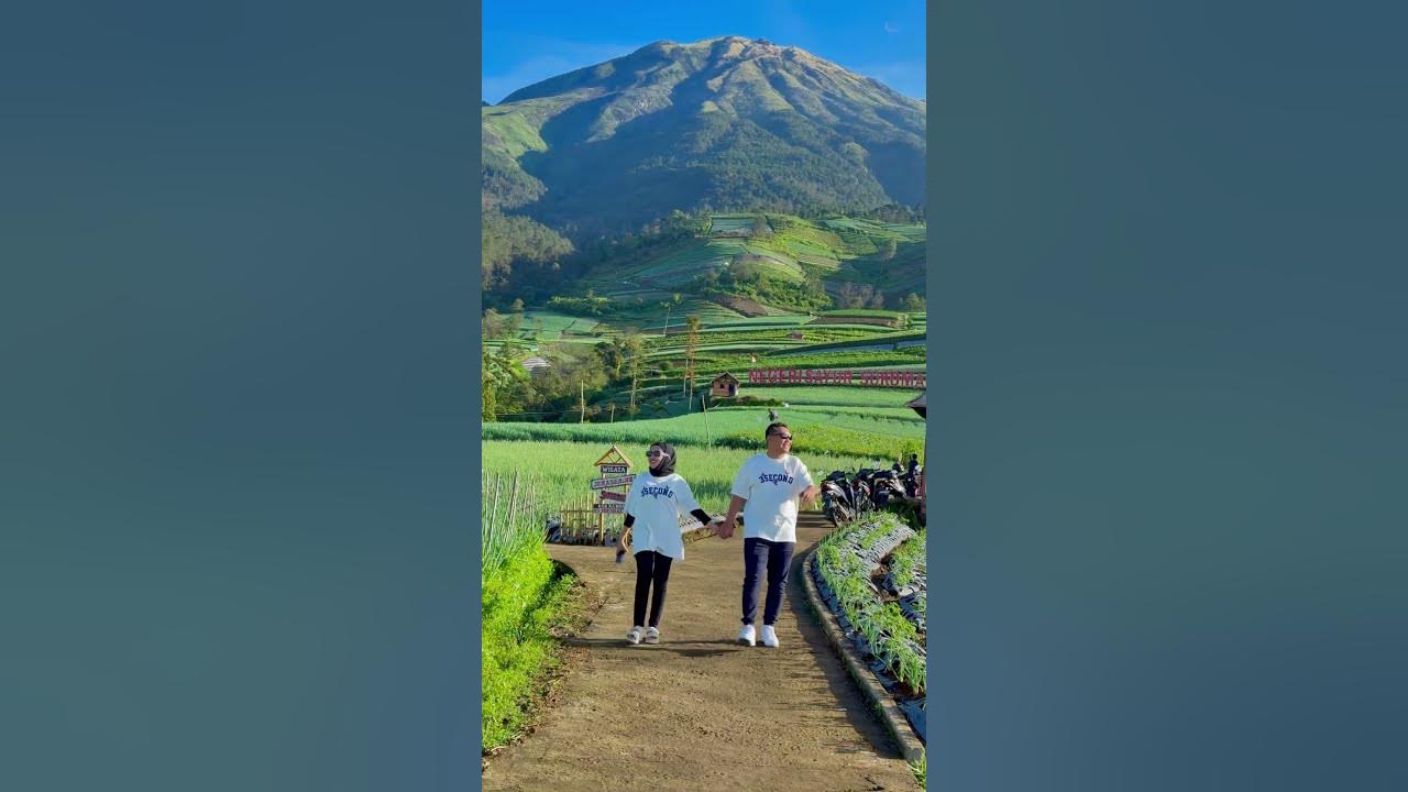 Desasukomakmur &keindahsn nya #music #cover #song #coversong #travel #mountains
