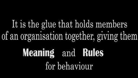 Aligning Culture and HR/ Business Strategy