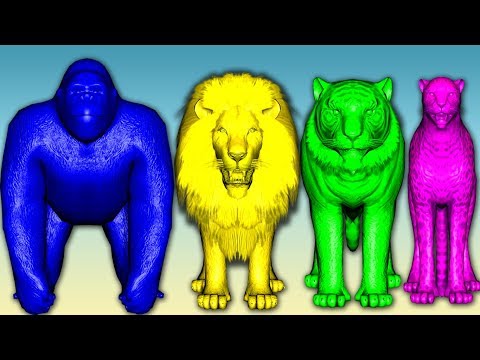 Finger Family Rhymes Lion Nursery Rhymes Wild Animals Gorilla Tiger Bear Cheetha NASH TOON Tv