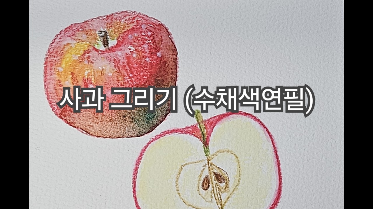 사과 안과 밖 그리기 (수채색연필)