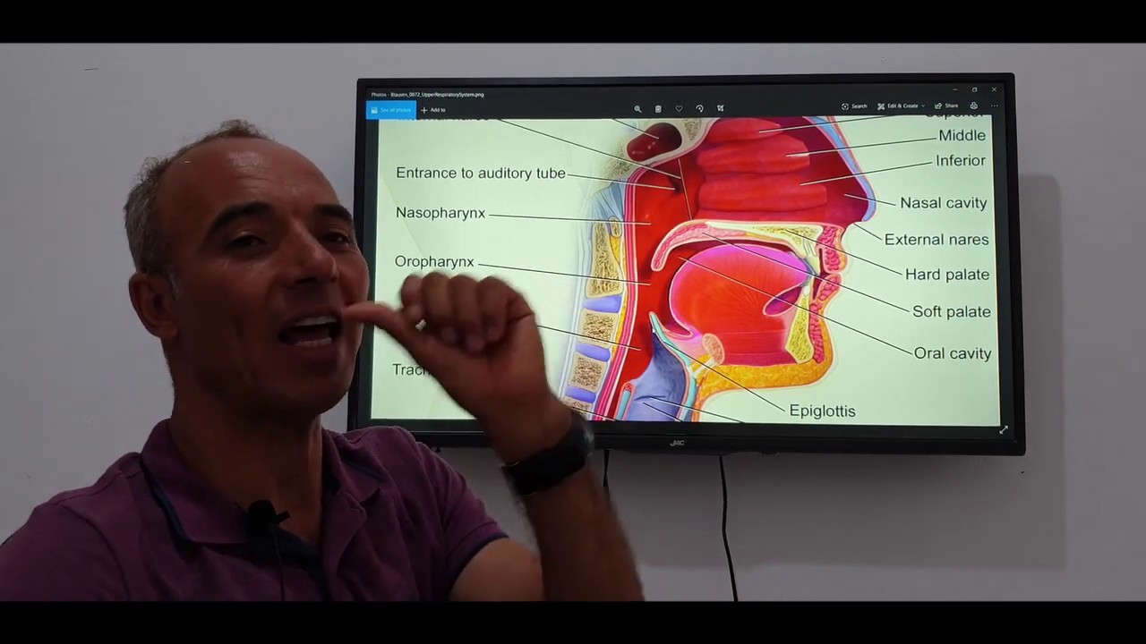 معادلة ضغط الاذن في الغوص  Equalizing the ear pressure while diving