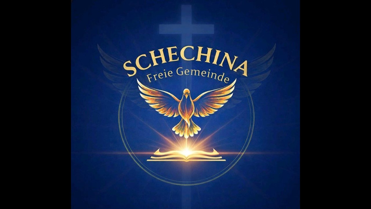 Шехина 28.02.26. 