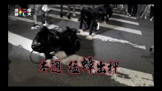 極度羞辱!!【巨蟑出沒台北街頭?!恥度破表!本週上演!!】綜藝玩很大