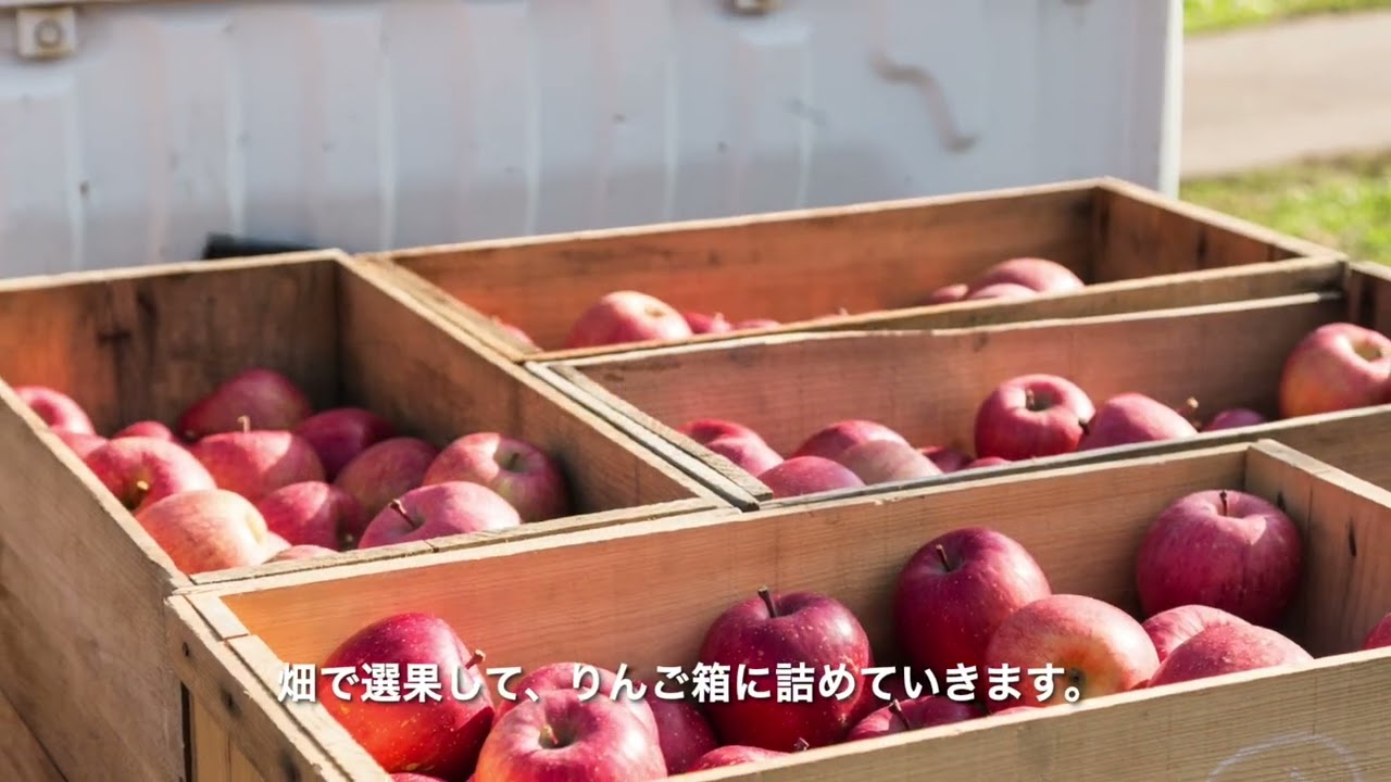 りんご箱の物語｜半世紀を生きた木箱が、新たな命を宿すまで」 - YouTube