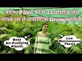 Best Varieties of Palm | 11 Easy Growing Palms at your home you must know| #Nanhapodha #Palmtree