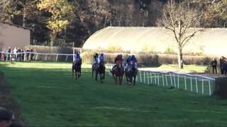 BV, 31. 10. 2015, 3. dostih - Cena Galopp Reporter