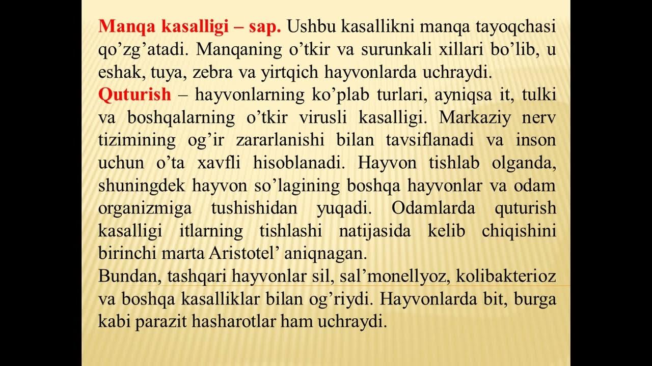 Nastya Bakeeva porno blowjob