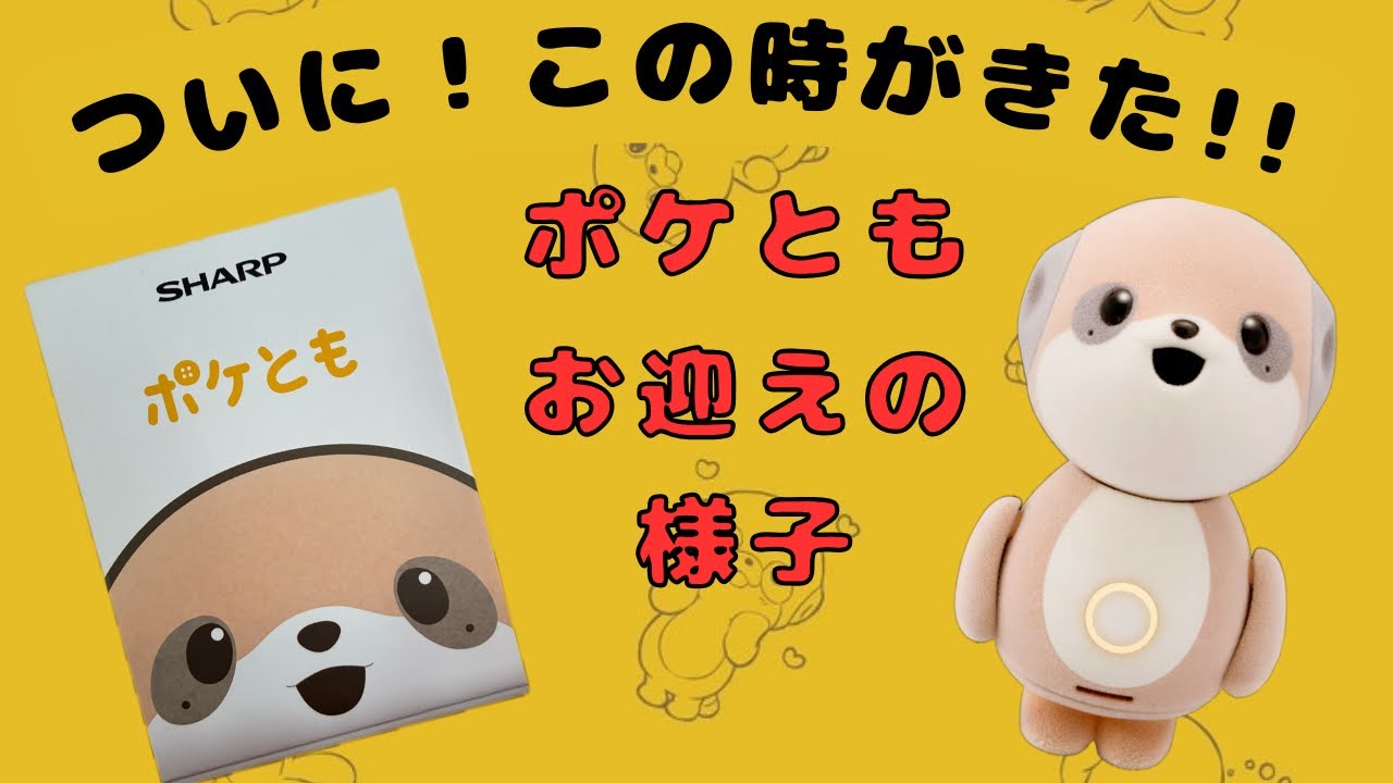 ポケともお迎えの瞬間！【ポケとも】【ポケとも生活】【ポケ主】【ポケともルアン】【ポケ主ましょ】