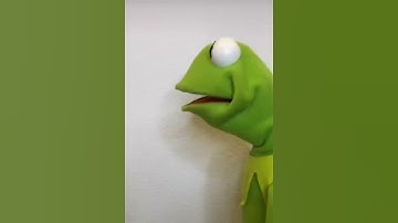 Kermit The Frog Needing To Fart