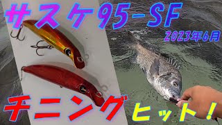 imaサスケでチニングゲームin能登 パパぼっち釣行