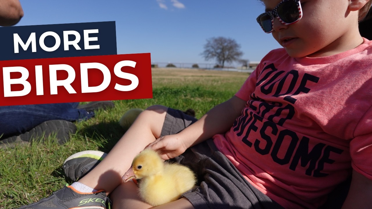 Feeding the Homestead and MORE Additions