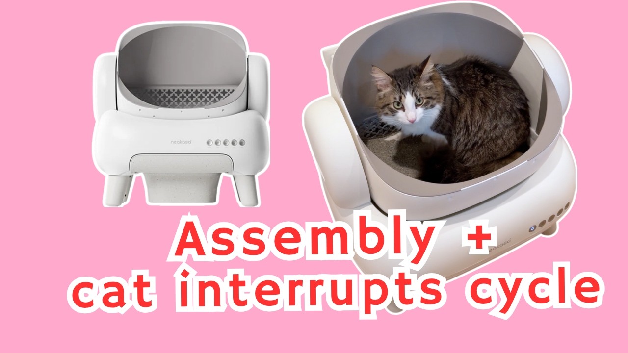 Neakasa M1 Lite In Use + Review: A Smart Litter Box for Picky Cats