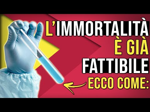 Video: Antico Egitto incompiuto: tecnologie unificate e lavorazione della pietra