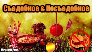 Обзор новой игры Food or Not screenshot 2