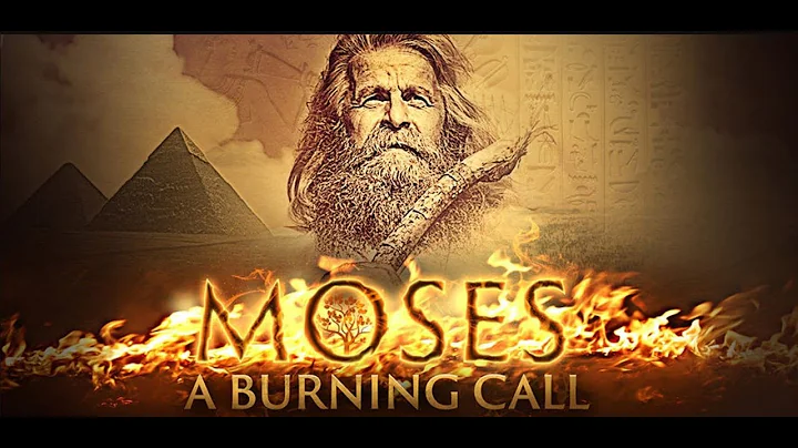 Mosheh's Staff Of Wonders