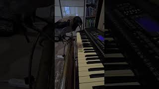 Crow Music School, Day 31: Marusia's Precise Piano Session